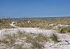 Beachfront Pearl - 3 Bedroom Vacation Home Rental