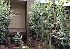 East Vail-Fall Ridge Condo