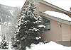 East Vail 5 Bedroom 3 bathroom Duplex
