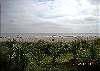 Beach House #411