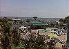 The Vue #227