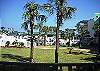Tybee Beach Club #115