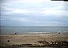 Beach House #442