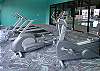White Caps fitness room.