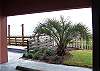 Royal Palms boardwalk to beach.