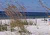 Enjoy the beautiful sea oats while staying at Royal Palms.