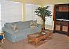 Living room area - additional view.