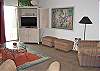 Living room area - additional view.