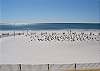 Seacrest beach area.