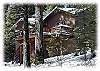 Topanga Treehouse (Osgood/Sanders)
