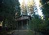 Mendonca (A forest Walk)