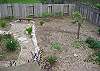 The property sits on a 10,000 sq.ft. lot that has the feel of a Zen space. There is a small studio space with a door opening to the breathtaking view of the gardens and trees.