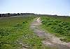 This trailhead is about four houses away from this rental.  It is possibly my favorite trail in all of Cambria.  From the knoll about two-thirds across the ranch, you can see in the curve of the earth.  Looking the other way, you look down into town, and the out to the Santa Lucia Mountains.