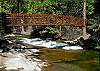 River at Big Trees State Park