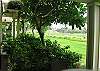Waikoloa Condominium rental - Interior Photo - Lanai View