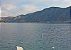 Downlake view-Thumbnail