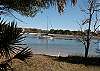 Tidelands #1923