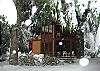 Snowy Winter Scene at ShadowHawk