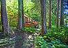 Salmon River Retreat