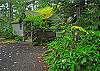 Pine River Cabin