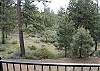 Looking out from the deck