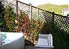 Small encolsed backyard...