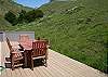 Deer, Hawk, rabbitts, seagulls...time to relax....