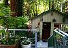 Your own Tree house....