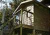 There is even a kids play house and an enclosed dog kennel