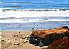 Your group will not run out of activities on the near-by beach!
Boogie board, surf, take your dog for a walk, build sand castles.