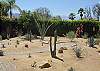 Indian Springs 809