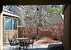 Bistro table in the private courtyard for morning cup of coffee.