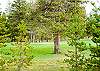 Absolutely beautiful during the spring and summer and in the winter the snow covered golf course is serene and frequently offers cross-country skiing.  Deer, squirrels, raccoons and coyotes will probably be seen.