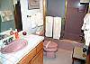 This home features 4.5 bathrooms.  This is the hall bathroom downstairs.