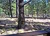 Lot's of common area in the back of the home.