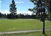 Beautiful view of the golf course