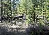 Plenty of nature and wild life for your enjoyment!
