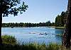 You can literally walk out the back door to this beautiful setting and enjoy a picnic on the sandy beach of the Deshutes River.