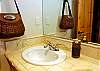 Full Bathroom off of the Family Room Downstairs