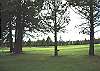 Actual view of theMeadows Golf Course from the deck.