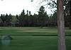 Meadows Golf Course view.