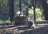 Single level, retro cabin, south end of Sunriver, hot tub, wireless, Maverick