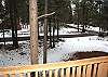A large wooded area surrounds this home. Lots of room for the kids to play!