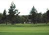 Great view of the Meadows Golf Course from the back deck.