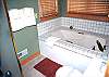 This home features 4.5 bathrooms.  This is upstairs guest room bath.  It features a shower as well as a jacuzzi tub.