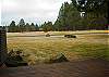 Spectacular view of the golf course from the back deck.