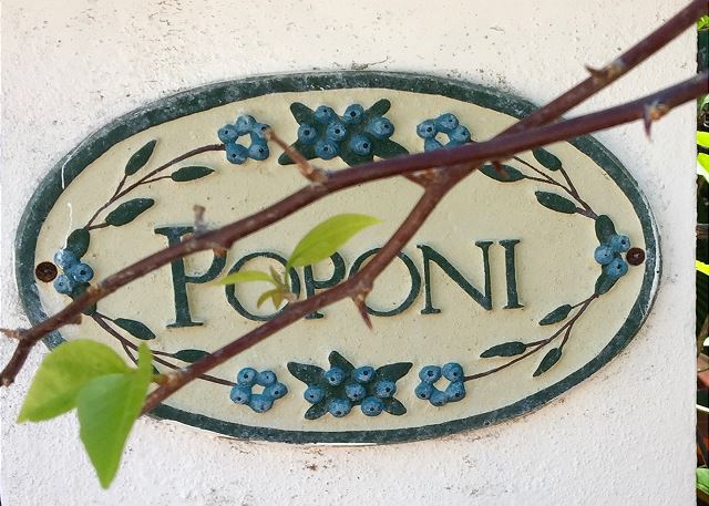 Photo: Poponi House