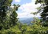 Cozy Bear Ridge