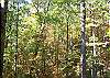 Walking distance to Indian Rock Fishing Pond and historical site.
Cherry Log Mountain has many lakes, fishing ponds and hiking trails to enjoy outdoor activities.