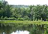 Private Fishing Pond